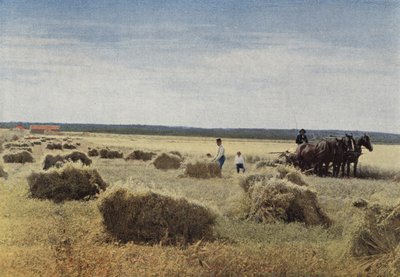 La moisson au Manitoba - European Photographer